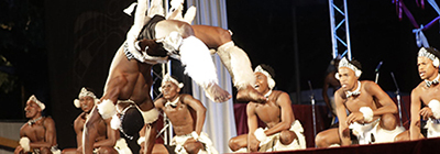 AMA-ZEBRA&nbsp;(SUDÁFRICA)